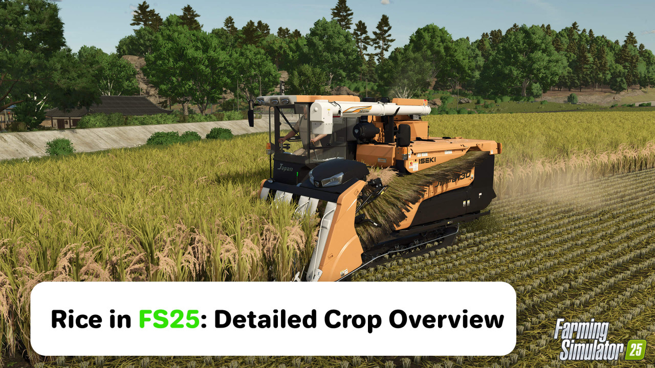 Rice in FS25: Detailed Crop Overview